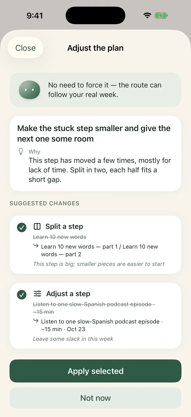 Adjust the plan: suggested changes with before and after, and the reason for each